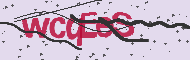 Captcha認証コード